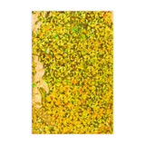 Holografikus fólia borítékok